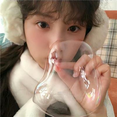伯德小姐海报