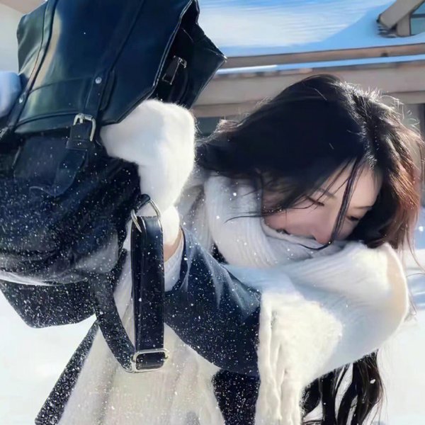 狼警海报